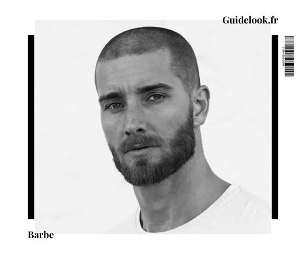 pellicule barbe